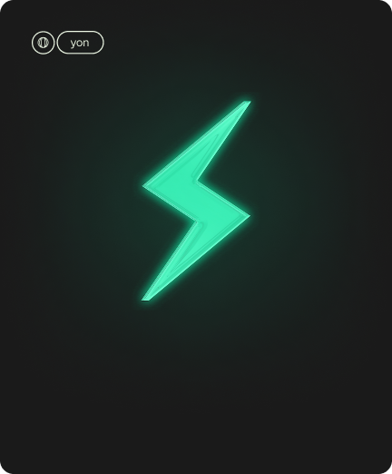 Neon Imports — case Yon